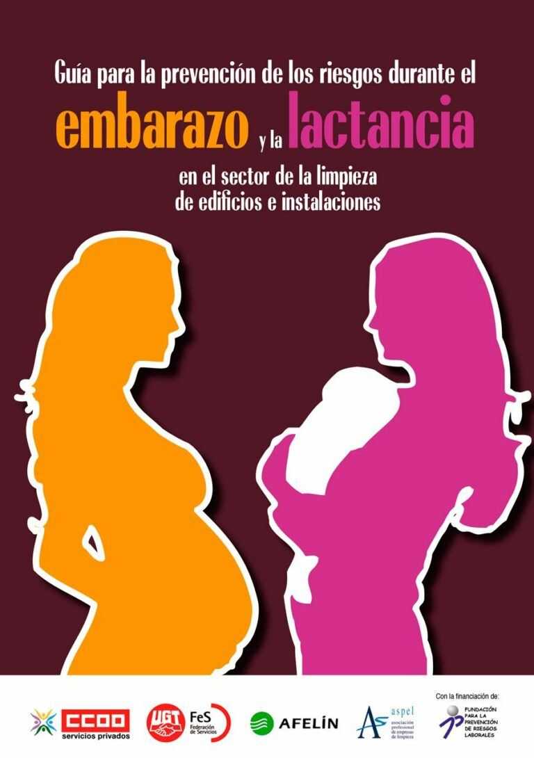 Guía Para La Prevención De Los Riesgos Durante El Embarazo Y La Lactancia Prevention World 2450