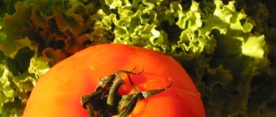 Lechuga, pepino y tomate, los alimentos más contaminados por disruptores endocrinos