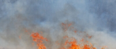 PP Cádiz pide a la Junta que aumente la seguridad frente a incendios forestales
