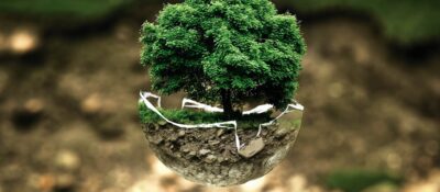 Publicada la nueva ISO 14001, referencia mundial para la gestión ambiental