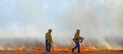 ¿Cuánto esfuerzo físico realiza el personal de extinción de incendios forestales?